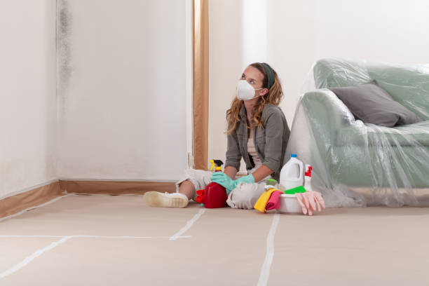 Reliable Mold Remediation contractor in Okemos, MI by WQB Mold Removal